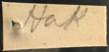 Media type: image; Entomology 18571   Aspect: labels 2